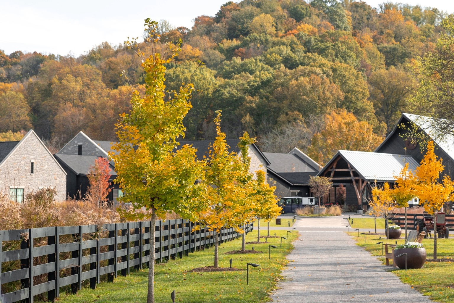 A gravel path lined with golden trees and a black farm fence at Southall